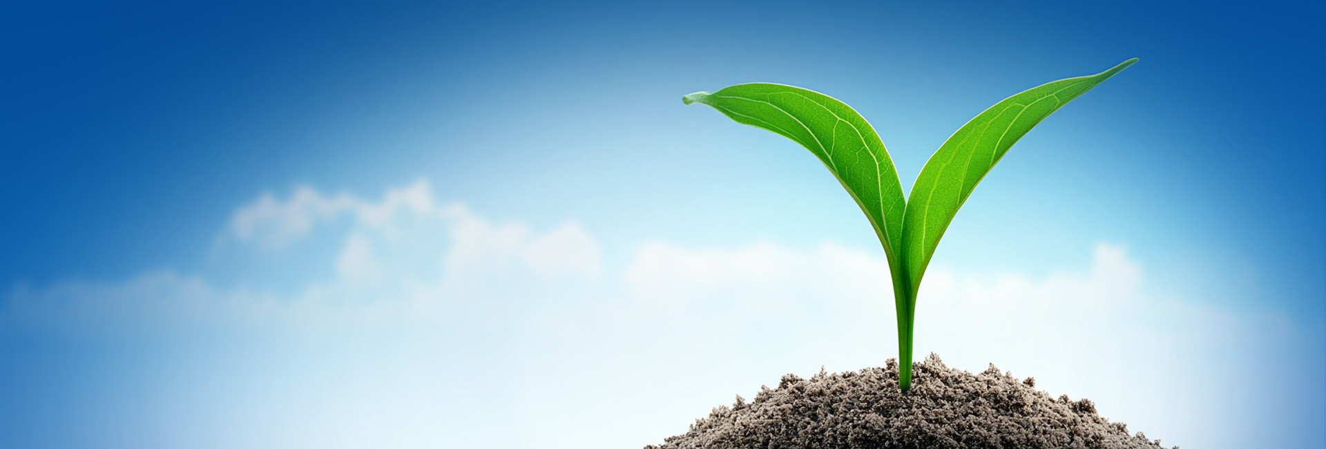 乐天堂·fun88(中国区) - 官方网站